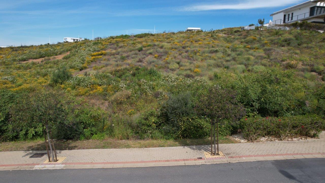 Luz 114 C Plot R26.17 Costa Esuri for Sale